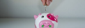 Top Canadian High Interest Savings Accounts